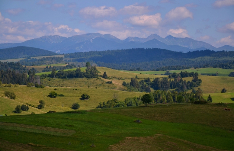 Západné Tatry od Pokryváča