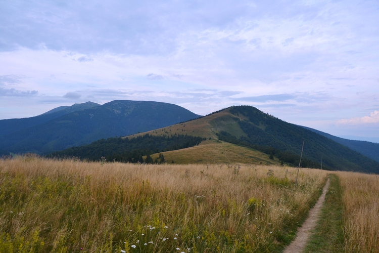 Pohľad na Kozí chrbát a Prašivú