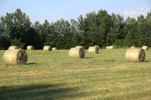 Senový stonehenge 1