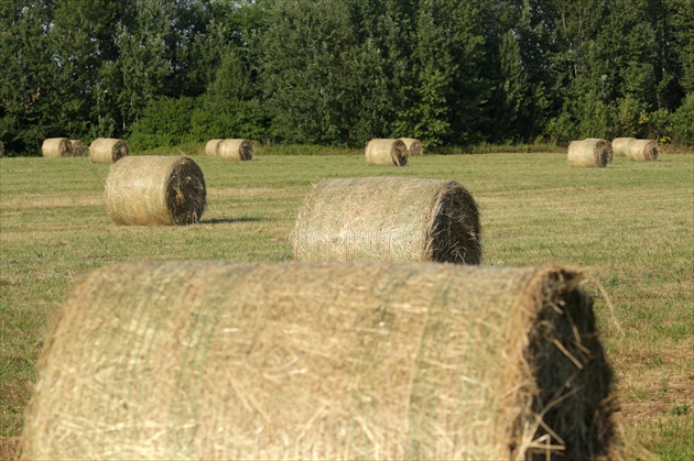 Senový Stonehenge 2