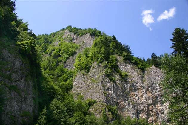 Pieniny 1