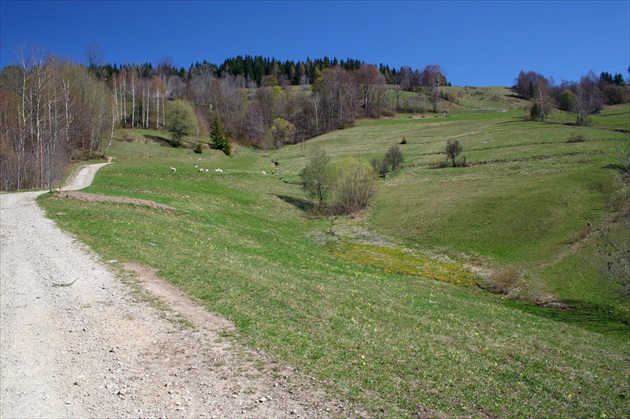 Orava 2007, Zázrivá