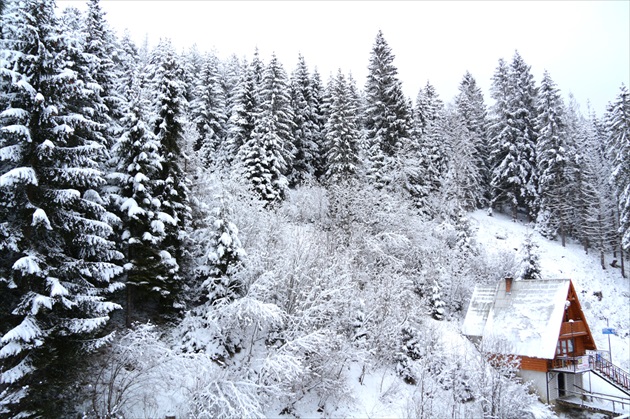 Brezovica - Orava