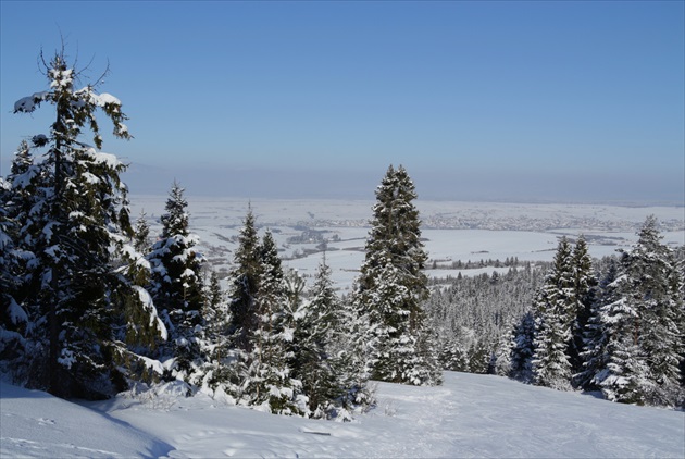 Brezovica - Orava III.