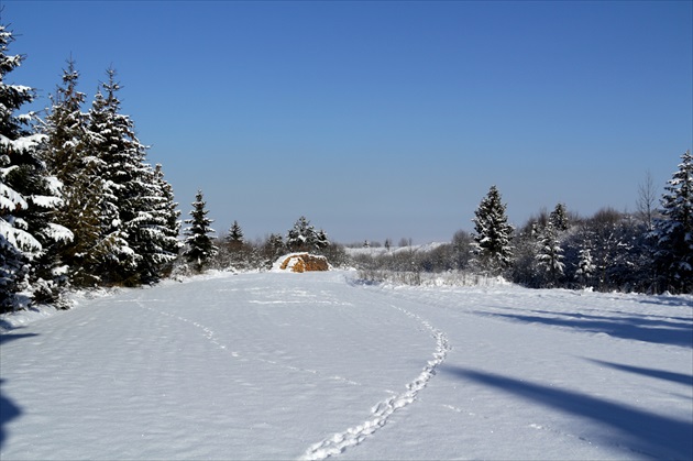 Brezovica - Orava IV.