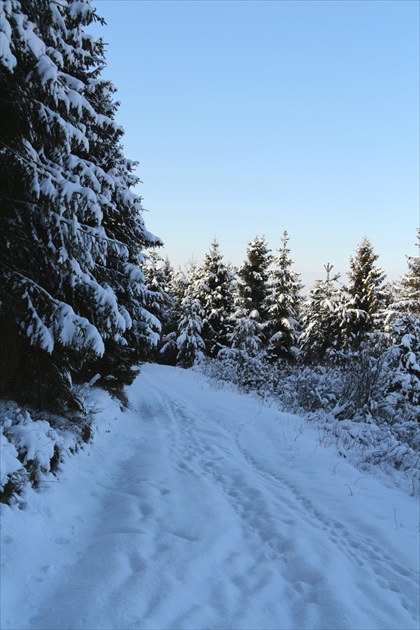 Brezovica - Orava V.