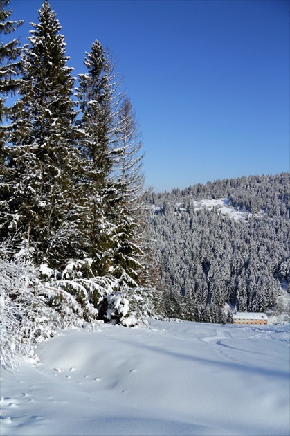 Brezovica - Orava VI.