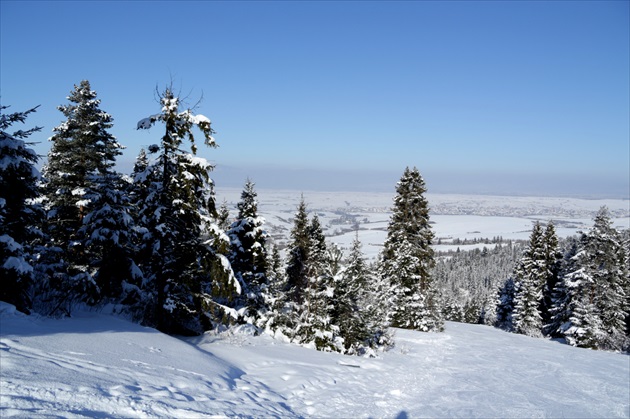 Brezovica - Orava VII.