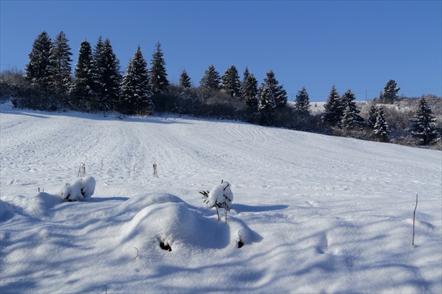 Brezovica - Orava IX.