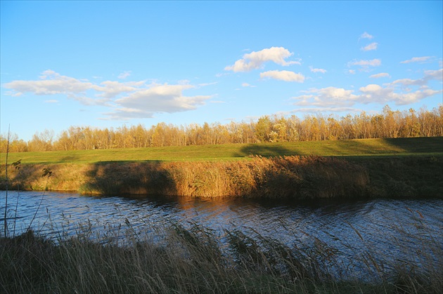 Chorvátske rameno