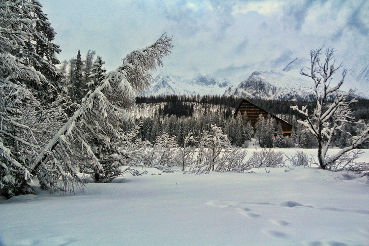 Štrbské pleso