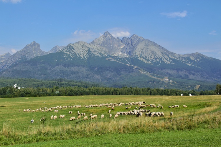 Vysoké Tatry II.