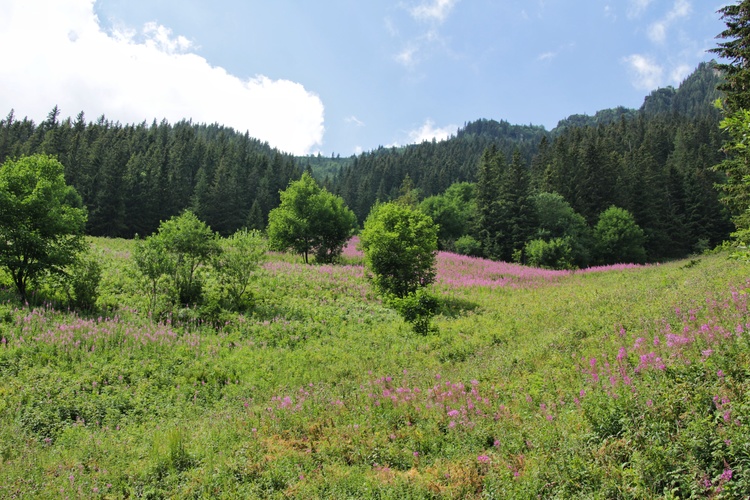 Belianske Tatry