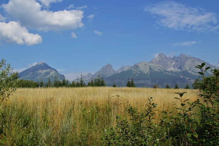 Vysoké Tatry VI.