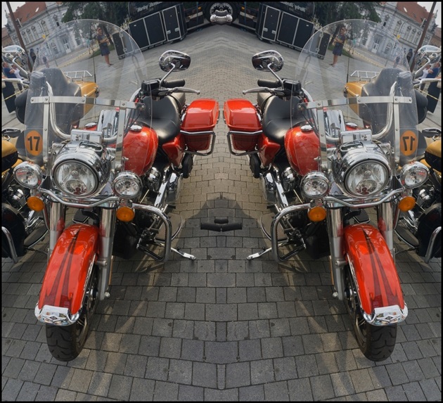 Harley -Davidson