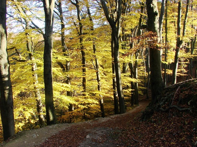 Jesennou cestičkou