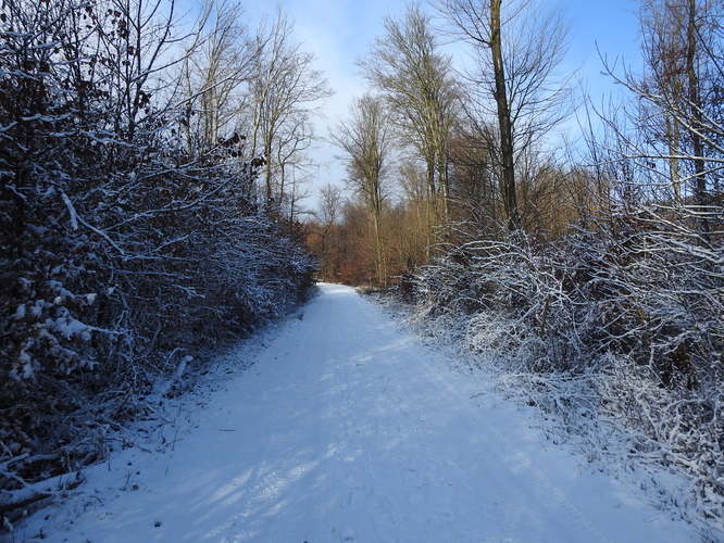 dnes nad Račou