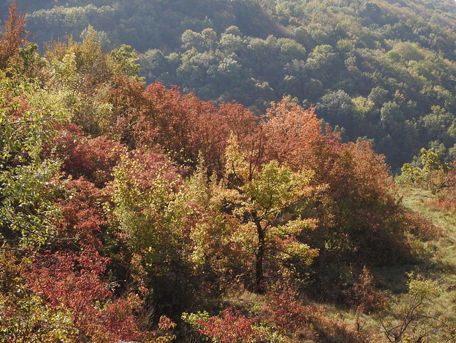 maľovanie