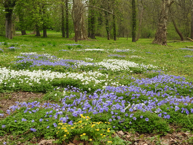 koberec parkový