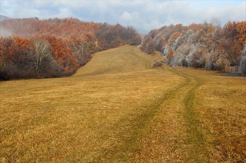 jesennozimná krajinka