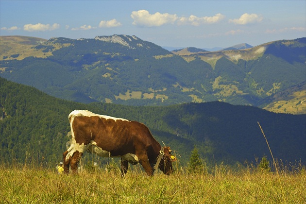 VeľkoFatranská II.