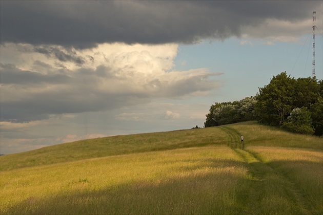 bežec