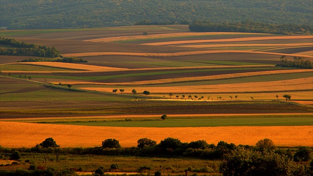 Krivky krásnej Moravy