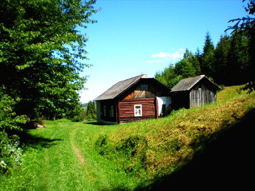 stratená v lese