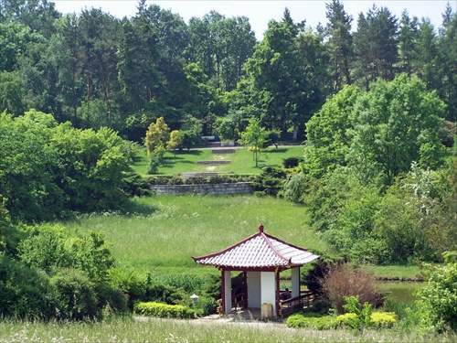 Arborétum Mlyňany