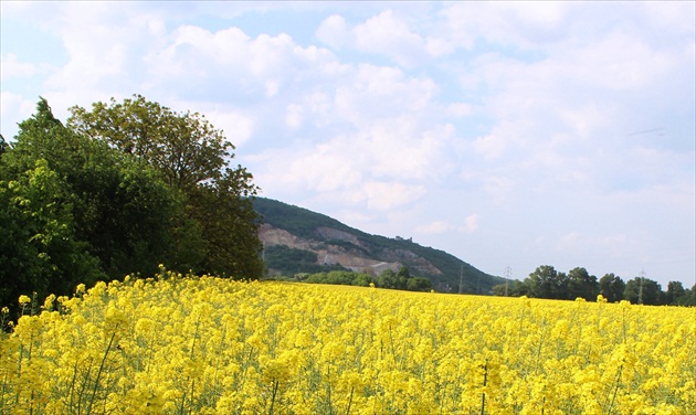 Pohľad na hrad Brekov