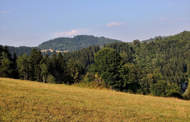 Obyčajné pohľady