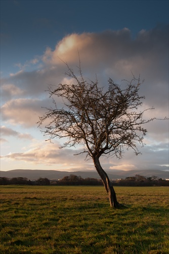 Standing all alone