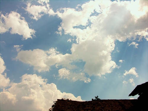 Cumulus humilis