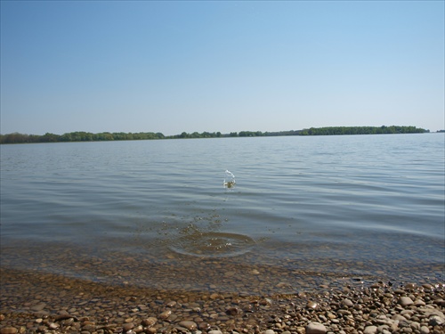 Žabka na Kráľovej