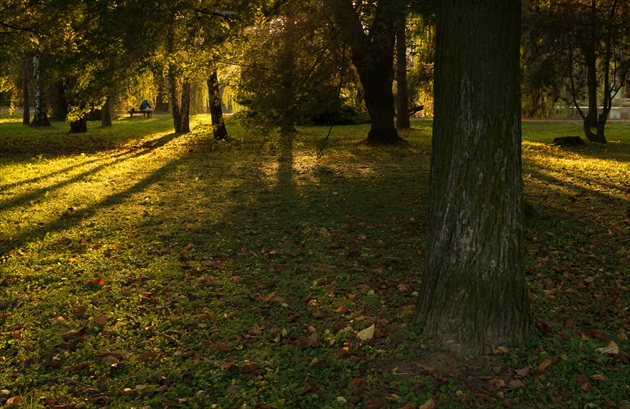 parkový podvečer