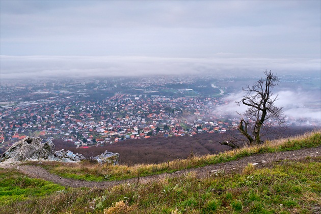 pohľad