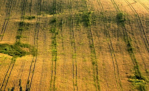 Pohľad zhora