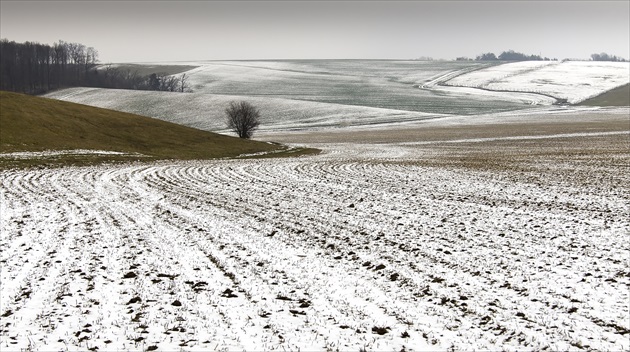 Zimná krajina