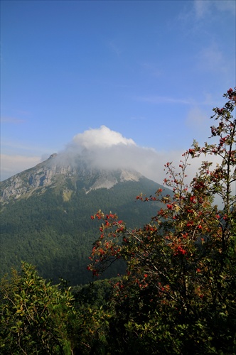 Veľký Rosutec