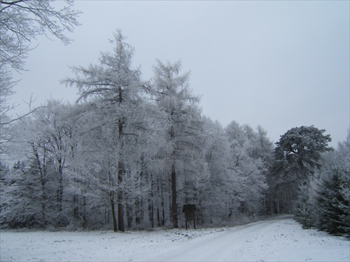 Cesta na Kačín