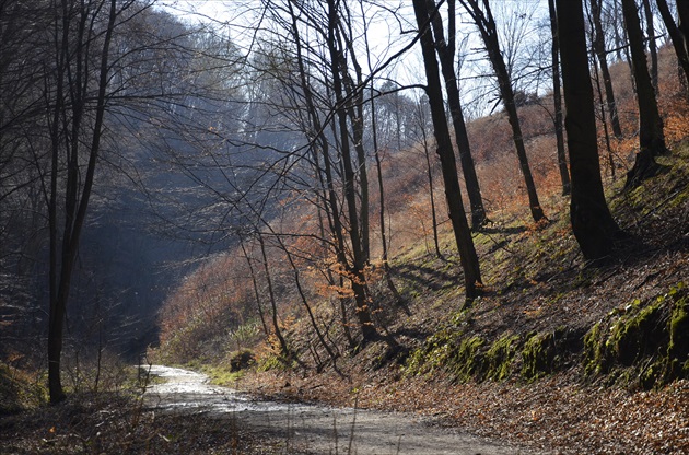 Rúbanisko