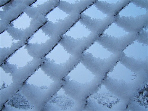 Zimný plot