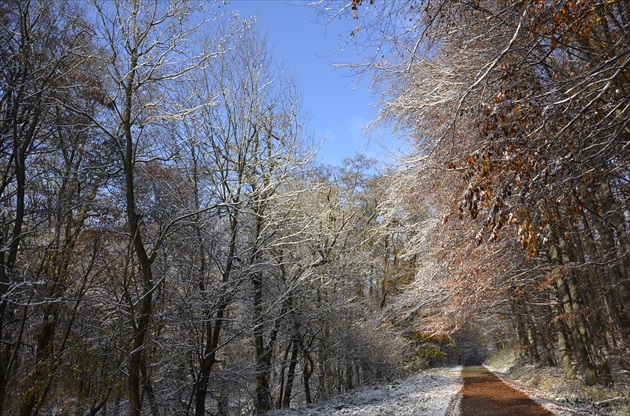 Nasnežené