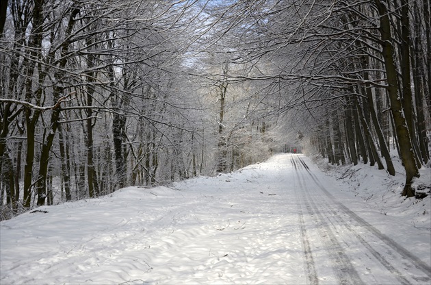 Konečne ...