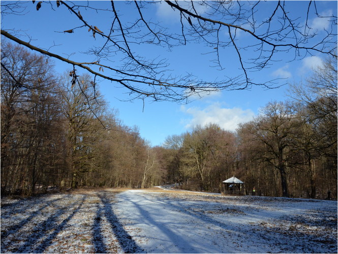 Poprašená lúka 