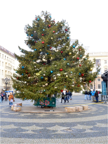 Jedlička na Trhoch