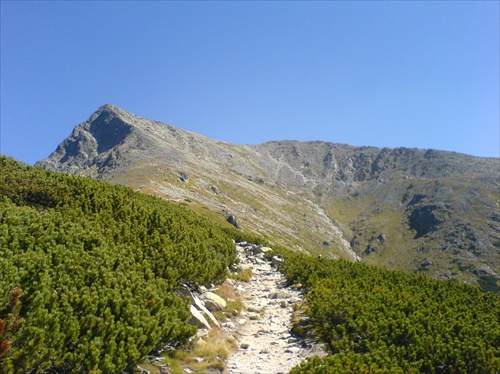 Kriváň (2 494 m n.m.)