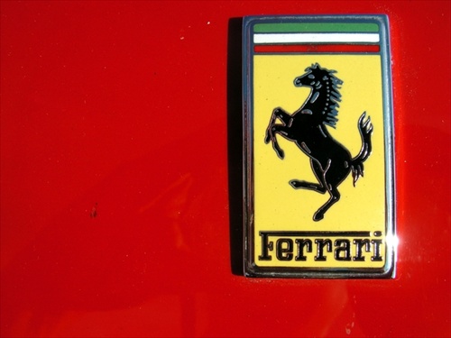 scuderia horse