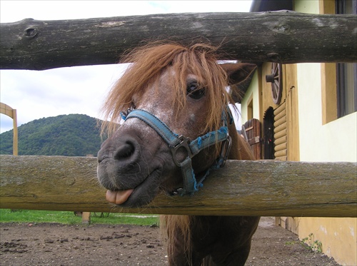 Bez názvu