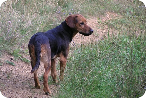 Abbey - 27.8. Bude utratená:(